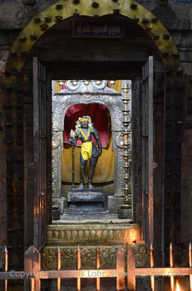 Meenakshi Temple, Madurai,_DSC_8353_H600